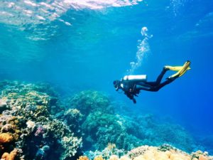 Snorkeling-and-Scuba-Diving