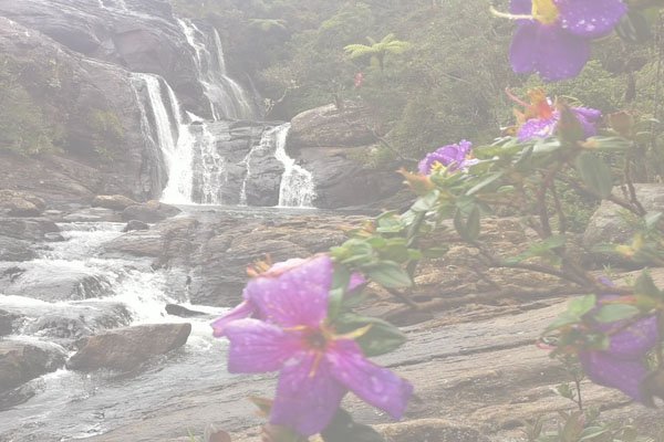 enchanting waterfall