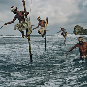 Traditional Stilt Fishermen