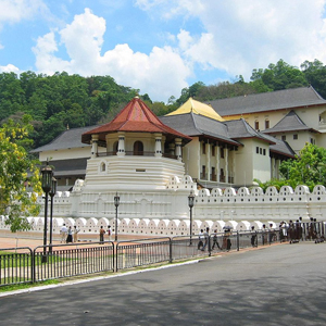 Tour Operators Sri Lanka