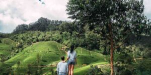 Honeymoon Tour Packages in Sri Lanka